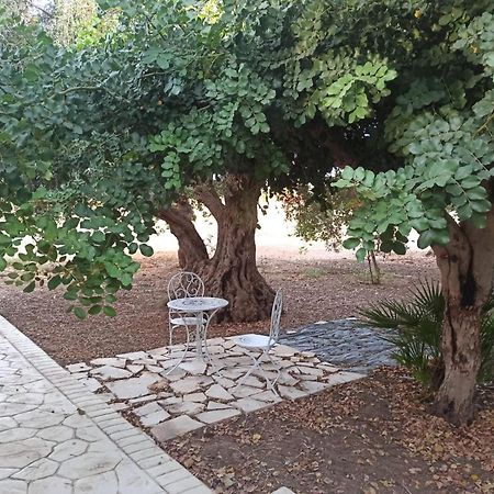 Casa Degli Spartani Pina شيكلي المظهر الخارجي الصورة
