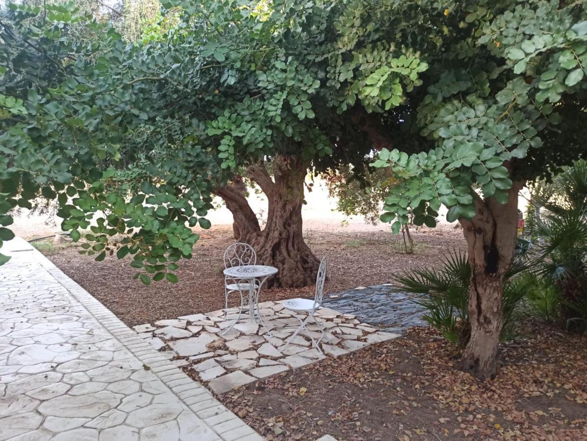 Casa Degli Spartani Pina شيكلي المظهر الخارجي الصورة